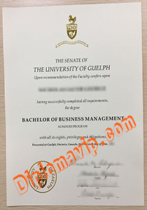 University of Guelph degree, Fake University of Guelph degree