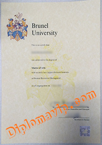 brunel university degree, fake brunel university degree