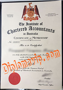 ICAA certificate, fake ICAA certificate